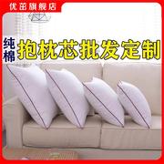 纯棉沙发抱枕芯靠枕芯十字绣靠垫，芯子40455055606570方枕芯