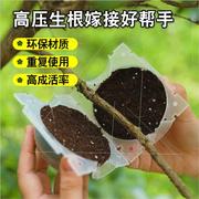 新疆嫁接高压包空枝盒子扦插塑料植物树木高压生根繁殖器球扦