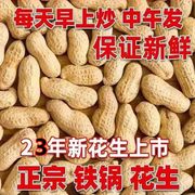 23年新货原味炒花生农家铁锅沙炒货带壳年货现炒现发即食香脆零食