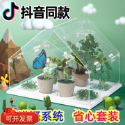 diy小屋阳光花房家宿舍绿植幼儿园植物角套装小学生植物种植观察