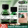 THE BODY SHOP美体小铺茶树精油10/20ML修护面部瑕疵TBS淡化调节