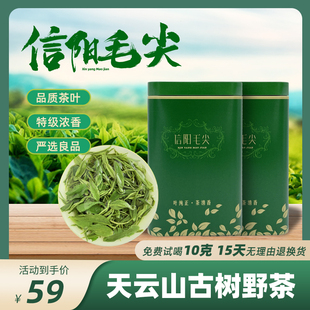 2023年春茶新茶天云山信阳毛尖200g雨前绿茶，实惠茶叶自产自销