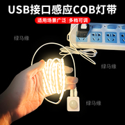 usb接口感应cob灯带可调亮度光感，床底鞋衣柜入户玄关充电人体感应