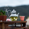 观岚仿宋玻璃绿茶壶，高硼硅泡茶单壶花草，茶具家用耐热冲茶器花茶壶