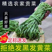 2024新贡菜干特级农家，贡菜干新鲜苔菜响菜土特产干货脱水蔬菜500g