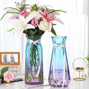 北欧特大号30CM高水培富贵竹玻璃花瓶透明百合插花瓶摆件客厅