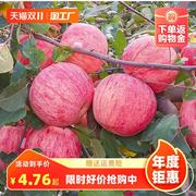 苹果树果苗南方北方种植苹果树苗嫁接红富士冰糖心，盆栽地栽小树苗