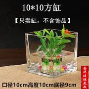 加厚玻璃花瓶长方形特大号花盆鱼缸，水培水养植物，器皿造景容器晗畅