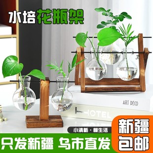新疆透明简约创意水培植物，玻璃花瓶绿萝办公室桌面绿植摆件