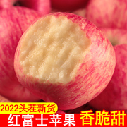 脆甜红富士苹果水果新鲜应当季丑苹萍果整箱，10斤现季冰糖心5嘎啦