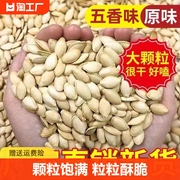 原味南瓜子500g新货五香味大袋装熟白瓜籽仁大颗粒炒货零食