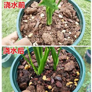 芦荟专用营养土室内盆栽专用土有机肥料花泥土阳台种植土疏松透气