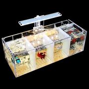 鱼缸繁殖盒小鱼大号混养创意产房多功能阻拦隔离分离隔断水族箱