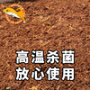 无菌椰土爬宠蜘蛛蜥蜴垫才可用爬宠产房椰砖栽培乌龟角蛙泥兰花土