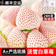 淡雪草莓白色草莓新鲜孕妇水果礼盒装，日本白雪公主白草莓(白草莓)空运