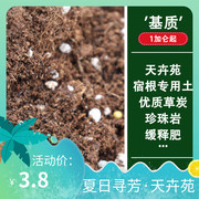 北京天卉苑花卉研究所宿根盆花花卉专用营养土改良土壤 满就