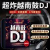 2024越南鼓dj流行新歌曲正版无损高音质光碟汽车载cd碟片光盘