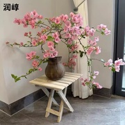 垂丝飘枝三角梅矮桩盆栽阳台，庭院花卉可常年开花净化空气易活