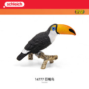 思乐schleich巨嘴鸟14777大嘴鸟模型玩具偶摆件收藏仿真野生动物