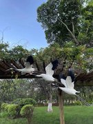 仙鹤摆件飞行模型花园庭院景观商场中庭小区玻璃钢美陈丹顶鹤雕塑