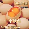 30枚新鲜柴鸡蛋大个双黄鸡蛋，散养土鸡蛋，农家散养正宗土鸡蛋双黄蛋