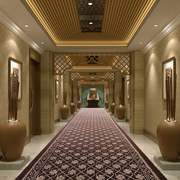 楼梯过道走廊地毯加厚家用酒店宾馆迎宾满铺可裁剪饭店走廊毯