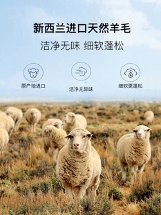 a类保暖羊绒被芯单双人被褥子新西兰羊毛被100纯羊毛被子冬季冬被