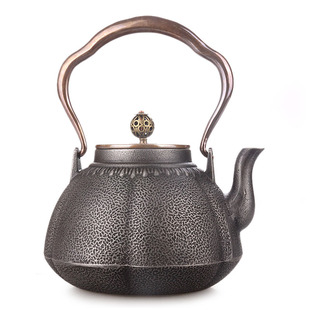 铸铁壶日式手工铁茶壶南部铁器，老铁壶无涂层原铁复古烧水茶壶摆件