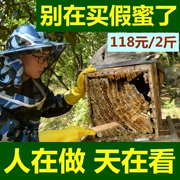 2斤野生土蜂蜜 纯正天然农家自产深山成熟百花蜜原蜜峰蜜冬天结晶