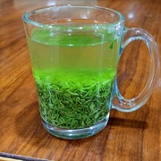绿茶信阳毛尖2024新茶雨前春茶，散装茶叶500g茶农自产自销浓香型