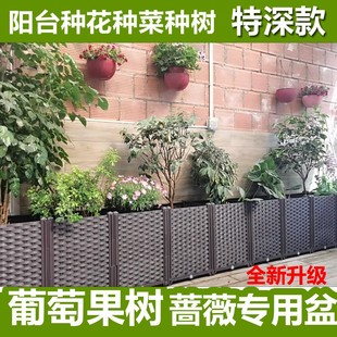 阳台种菜盆特大蔬菜，种植箱长条花槽长形，屋顶菜园塑料深花盆