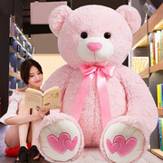 大熊毛绒玩具公仔可爱布洋娃娃抱抱熊泰迪熊猫睡觉玩偶女生日礼物