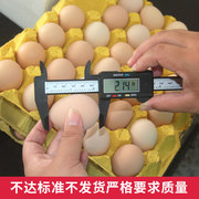 农家散养40枚柴鸡蛋土鸡蛋初生蛋小鸡蛋