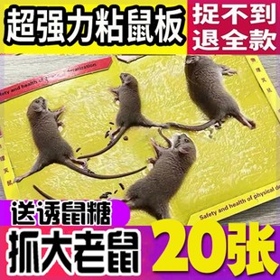 粘鼠板超强力沾老鼠，贴胶灭鼠器，捕鼠笼家用加大加厚神器