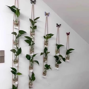 创意DIY壁挂玻璃水培植物麻绳花瓶 家居幼儿园墙面装饰挂件简约