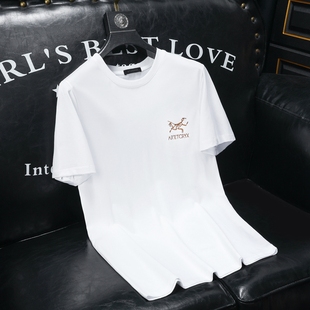f3015-66625-p802024夏季男士丝光棉，短袖t恤(m-5xl)沙发图白色