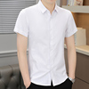 白色衬衫男士短袖纯色商务休闲正装寸衫夏季冰丝免烫半袖薄款衬衣