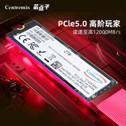 芯点子 C1200 2T PCIe5.0 M.2笔记本电脑台式机SSD m2固态硬盘2TB