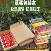 草莓盒子包装盒快递专用纸盒高档带托水果打包防震可定制透明礼盒