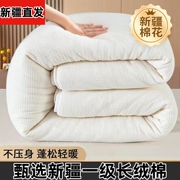 新疆棉花褥子单人被子冬被纯棉全棉一级棉絮床垫长绒棉垫被芯