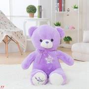 小熊玩偶薰衣草紫色公仔，抱抱熊毛绒玩具抱枕布娃娃儿童女孩