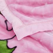 儿童婴儿毛毯双层加厚宝宝盖毯幼儿园小被子秋冬季午睡珊瑚绒毯子