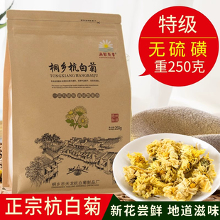 菊花茶特级正宗桐乡杭白菊，白菊新花250g花草茶散装菊花