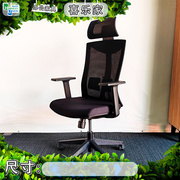 百利办公椅人体工学椅电脑椅升降椅头枕椅会议椅职员椅网背椅子