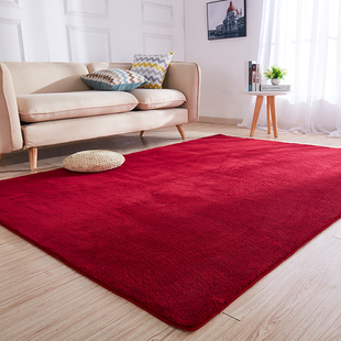 定制红色满铺加厚毛地毯(毛地毯，)卧室客厅茶几垫服装，直播间大面积全铺地毯