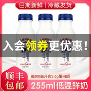 新希望鲜奶今日鲜奶铺255ml装新鲜日期低温生牛乳乳蛋白全脂鲜奶