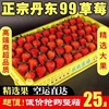 正宗丹东99草莓新鲜东港红颜九九草莓整箱当季水果新鲜草莓空运
