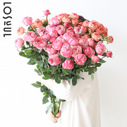 玫瑰鲜花多头高级办公室鲜花氛围感装饰A级荔枝刘亦菲同款情人节