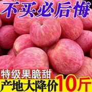 全网新鲜陕西红富士苹果脆甜爆甜应季丑苹果水果，整箱大果