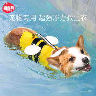 小狗狗救生衣宠物游泳衣服夏季柯基泰迪中型小型犬泳衣大型犬夏天